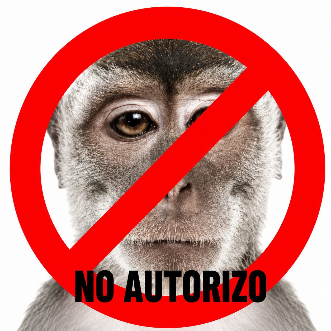 NO AUTORIZO
